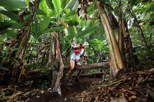 BIB: 
                            <button type="button" onclick="openModal(22392942)" class="btn btn-primary btn-sm float-right btn-popup" data-toggle="modal" data-target=".modal-high-quality">
                        <i class="fas fa-shopping-cart"></i> Add to Cart
                    </button>
                                            <button type="button" onclick="isThisMe(22392942, true)" class="btn btn-success btn-sm float-right btn-popup btn-isme hidden" data-toggle="tooltip" data-placement="bottom" title="นี่คือรูปของคุณใช่ไหม คลิกที่นี่เพื่อเอาเข้าอัลบั้ม">
                        <i class="fas fa-plus"></i> Add to album
                    </button>
                    <button type="button" onclick="isThisMe(22392942, false)" class="btn btn-warning btn-sm float-right btn-popup btn-isnotme hidden">
                        <i class="fas fa-ban"></i> Remove from album
                    </button>