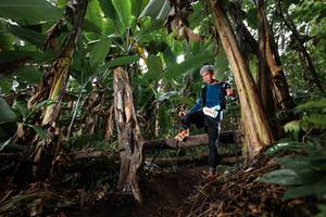 BIB: 
                            <button type="button" onclick="openModal(22419030)" class="btn btn-primary btn-sm float-right btn-popup" data-toggle="modal" data-target=".modal-high-quality">
                        <i class="fas fa-shopping-cart"></i> Add to Cart
                    </button>
                                            <button type="button" onclick="isThisMe(22419030, true)" class="btn btn-success btn-sm float-right btn-popup btn-isme hidden" data-toggle="tooltip" data-placement="bottom" title="นี่คือรูปของคุณใช่ไหม คลิกที่นี่เพื่อเอาเข้าอัลบั้ม">
                        <i class="fas fa-plus"></i> Add to album
                    </button>
                    <button type="button" onclick="isThisMe(22419030, false)" class="btn btn-warning btn-sm float-right btn-popup btn-isnotme hidden">
                        <i class="fas fa-ban"></i> Remove from album
                    </button>