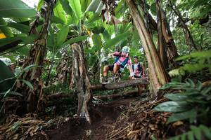 BIB: 
                            <button type="button" onclick="openModal(22415532)" class="btn btn-primary btn-sm float-right btn-popup" data-toggle="modal" data-target=".modal-high-quality">
                        <i class="fas fa-shopping-cart"></i> Add to Cart
                    </button>
                                            <button type="button" onclick="isThisMe(22415532, true)" class="btn btn-success btn-sm float-right btn-popup btn-isme hidden" data-toggle="tooltip" data-placement="bottom" title="นี่คือรูปของคุณใช่ไหม คลิกที่นี่เพื่อเอาเข้าอัลบั้ม">
                        <i class="fas fa-plus"></i> Add to album
                    </button>
                    <button type="button" onclick="isThisMe(22415532, false)" class="btn btn-warning btn-sm float-right btn-popup btn-isnotme hidden">
                        <i class="fas fa-ban"></i> Remove from album
                    </button>