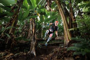 BIB: 
                            <button type="button" onclick="openModal(22398234)" class="btn btn-primary btn-sm float-right btn-popup" data-toggle="modal" data-target=".modal-high-quality">
                        <i class="fas fa-shopping-cart"></i> Add to Cart
                    </button>
                                            <button type="button" onclick="isThisMe(22398234, true)" class="btn btn-success btn-sm float-right btn-popup btn-isme hidden" data-toggle="tooltip" data-placement="bottom" title="นี่คือรูปของคุณใช่ไหม คลิกที่นี่เพื่อเอาเข้าอัลบั้ม">
                        <i class="fas fa-plus"></i> Add to album
                    </button>
                    <button type="button" onclick="isThisMe(22398234, false)" class="btn btn-warning btn-sm float-right btn-popup btn-isnotme hidden">
                        <i class="fas fa-ban"></i> Remove from album
                    </button>