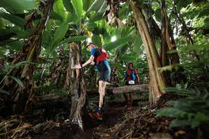 BIB: 
                            <button type="button" onclick="openModal(22398270)" class="btn btn-primary btn-sm float-right btn-popup" data-toggle="modal" data-target=".modal-high-quality">
                        <i class="fas fa-shopping-cart"></i> Add to Cart
                    </button>
                                            <button type="button" onclick="isThisMe(22398270, true)" class="btn btn-success btn-sm float-right btn-popup btn-isme hidden" data-toggle="tooltip" data-placement="bottom" title="นี่คือรูปของคุณใช่ไหม คลิกที่นี่เพื่อเอาเข้าอัลบั้ม">
                        <i class="fas fa-plus"></i> Add to album
                    </button>
                    <button type="button" onclick="isThisMe(22398270, false)" class="btn btn-warning btn-sm float-right btn-popup btn-isnotme hidden">
                        <i class="fas fa-ban"></i> Remove from album
                    </button>