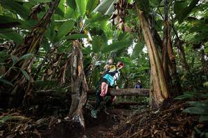 BIB: 
                            <button type="button" onclick="openModal(22417080)" class="btn btn-primary btn-sm float-right btn-popup" data-toggle="modal" data-target=".modal-high-quality">
                        <i class="fas fa-shopping-cart"></i> Add to Cart
                    </button>
                                            <button type="button" onclick="isThisMe(22417080, true)" class="btn btn-success btn-sm float-right btn-popup btn-isme hidden" data-toggle="tooltip" data-placement="bottom" title="นี่คือรูปของคุณใช่ไหม คลิกที่นี่เพื่อเอาเข้าอัลบั้ม">
                        <i class="fas fa-plus"></i> Add to album
                    </button>
                    <button type="button" onclick="isThisMe(22417080, false)" class="btn btn-warning btn-sm float-right btn-popup btn-isnotme hidden">
                        <i class="fas fa-ban"></i> Remove from album
                    </button>