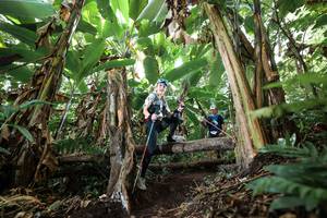 BIB: 
                            <button type="button" onclick="openModal(22402262)" class="btn btn-primary btn-sm float-right btn-popup" data-toggle="modal" data-target=".modal-high-quality">
                        <i class="fas fa-shopping-cart"></i> Add to Cart
                    </button>
                                            <button type="button" onclick="isThisMe(22402262, true)" class="btn btn-success btn-sm float-right btn-popup btn-isme hidden" data-toggle="tooltip" data-placement="bottom" title="นี่คือรูปของคุณใช่ไหม คลิกที่นี่เพื่อเอาเข้าอัลบั้ม">
                        <i class="fas fa-plus"></i> Add to album
                    </button>
                    <button type="button" onclick="isThisMe(22402262, false)" class="btn btn-warning btn-sm float-right btn-popup btn-isnotme hidden">
                        <i class="fas fa-ban"></i> Remove from album
                    </button>