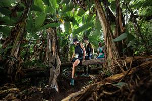 BIB: 
                            <button type="button" onclick="openModal(22388355)" class="btn btn-primary btn-sm float-right btn-popup" data-toggle="modal" data-target=".modal-high-quality">
                        <i class="fas fa-shopping-cart"></i> Add to Cart
                    </button>
                                            <button type="button" onclick="isThisMe(22388355, true)" class="btn btn-success btn-sm float-right btn-popup btn-isme hidden" data-toggle="tooltip" data-placement="bottom" title="นี่คือรูปของคุณใช่ไหม คลิกที่นี่เพื่อเอาเข้าอัลบั้ม">
                        <i class="fas fa-plus"></i> Add to album
                    </button>
                    <button type="button" onclick="isThisMe(22388355, false)" class="btn btn-warning btn-sm float-right btn-popup btn-isnotme hidden">
                        <i class="fas fa-ban"></i> Remove from album
                    </button>