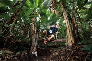 BIB: 
                            <button type="button" onclick="openModal(22417252)" class="btn btn-primary btn-sm float-right btn-popup" data-toggle="modal" data-target=".modal-high-quality">
                        <i class="fas fa-shopping-cart"></i> Add to Cart
                    </button>
                                            <button type="button" onclick="isThisMe(22417252, true)" class="btn btn-success btn-sm float-right btn-popup btn-isme hidden" data-toggle="tooltip" data-placement="bottom" title="นี่คือรูปของคุณใช่ไหม คลิกที่นี่เพื่อเอาเข้าอัลบั้ม">
                        <i class="fas fa-plus"></i> Add to album
                    </button>
                    <button type="button" onclick="isThisMe(22417252, false)" class="btn btn-warning btn-sm float-right btn-popup btn-isnotme hidden">
                        <i class="fas fa-ban"></i> Remove from album
                    </button>