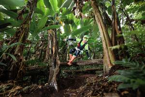 BIB: 
                            <button type="button" onclick="openModal(22398434)" class="btn btn-primary btn-sm float-right btn-popup" data-toggle="modal" data-target=".modal-high-quality">
                        <i class="fas fa-shopping-cart"></i> Add to Cart
                    </button>
                                            <button type="button" onclick="isThisMe(22398434, true)" class="btn btn-success btn-sm float-right btn-popup btn-isme hidden" data-toggle="tooltip" data-placement="bottom" title="นี่คือรูปของคุณใช่ไหม คลิกที่นี่เพื่อเอาเข้าอัลบั้ม">
                        <i class="fas fa-plus"></i> Add to album
                    </button>
                    <button type="button" onclick="isThisMe(22398434, false)" class="btn btn-warning btn-sm float-right btn-popup btn-isnotme hidden">
                        <i class="fas fa-ban"></i> Remove from album
                    </button>