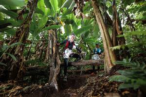 BIB: 
                            <button type="button" onclick="openModal(22398549)" class="btn btn-primary btn-sm float-right btn-popup" data-toggle="modal" data-target=".modal-high-quality">
                        <i class="fas fa-shopping-cart"></i> Add to Cart
                    </button>
                                            <button type="button" onclick="isThisMe(22398549, true)" class="btn btn-success btn-sm float-right btn-popup btn-isme hidden" data-toggle="tooltip" data-placement="bottom" title="นี่คือรูปของคุณใช่ไหม คลิกที่นี่เพื่อเอาเข้าอัลบั้ม">
                        <i class="fas fa-plus"></i> Add to album
                    </button>
                    <button type="button" onclick="isThisMe(22398549, false)" class="btn btn-warning btn-sm float-right btn-popup btn-isnotme hidden">
                        <i class="fas fa-ban"></i> Remove from album
                    </button>