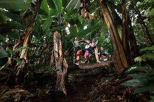 BIB: 
                            <button type="button" onclick="openModal(22419326)" class="btn btn-primary btn-sm float-right btn-popup" data-toggle="modal" data-target=".modal-high-quality">
                        <i class="fas fa-shopping-cart"></i> Add to Cart
                    </button>
                                            <button type="button" onclick="isThisMe(22419326, true)" class="btn btn-success btn-sm float-right btn-popup btn-isme hidden" data-toggle="tooltip" data-placement="bottom" title="นี่คือรูปของคุณใช่ไหม คลิกที่นี่เพื่อเอาเข้าอัลบั้ม">
                        <i class="fas fa-plus"></i> Add to album
                    </button>
                    <button type="button" onclick="isThisMe(22419326, false)" class="btn btn-warning btn-sm float-right btn-popup btn-isnotme hidden">
                        <i class="fas fa-ban"></i> Remove from album
                    </button>