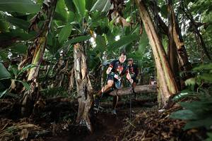 BIB: 
                            <button type="button" onclick="openModal(22419734)" class="btn btn-primary btn-sm float-right btn-popup" data-toggle="modal" data-target=".modal-high-quality">
                        <i class="fas fa-shopping-cart"></i> Add to Cart
                    </button>
                                            <button type="button" onclick="isThisMe(22419734, true)" class="btn btn-success btn-sm float-right btn-popup btn-isme hidden" data-toggle="tooltip" data-placement="bottom" title="นี่คือรูปของคุณใช่ไหม คลิกที่นี่เพื่อเอาเข้าอัลบั้ม">
                        <i class="fas fa-plus"></i> Add to album
                    </button>
                    <button type="button" onclick="isThisMe(22419734, false)" class="btn btn-warning btn-sm float-right btn-popup btn-isnotme hidden">
                        <i class="fas fa-ban"></i> Remove from album
                    </button>