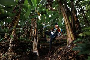 BIB: 
                            <button type="button" onclick="openModal(22420387)" class="btn btn-primary btn-sm float-right btn-popup" data-toggle="modal" data-target=".modal-high-quality">
                        <i class="fas fa-shopping-cart"></i> Add to Cart
                    </button>
                                            <button type="button" onclick="isThisMe(22420387, true)" class="btn btn-success btn-sm float-right btn-popup btn-isme hidden" data-toggle="tooltip" data-placement="bottom" title="นี่คือรูปของคุณใช่ไหม คลิกที่นี่เพื่อเอาเข้าอัลบั้ม">
                        <i class="fas fa-plus"></i> Add to album
                    </button>
                    <button type="button" onclick="isThisMe(22420387, false)" class="btn btn-warning btn-sm float-right btn-popup btn-isnotme hidden">
                        <i class="fas fa-ban"></i> Remove from album
                    </button>