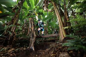 BIB: 
                            <button type="button" onclick="openModal(22398763)" class="btn btn-primary btn-sm float-right btn-popup" data-toggle="modal" data-target=".modal-high-quality">
                        <i class="fas fa-shopping-cart"></i> Add to Cart
                    </button>
                                            <button type="button" onclick="isThisMe(22398763, true)" class="btn btn-success btn-sm float-right btn-popup btn-isme hidden" data-toggle="tooltip" data-placement="bottom" title="นี่คือรูปของคุณใช่ไหม คลิกที่นี่เพื่อเอาเข้าอัลบั้ม">
                        <i class="fas fa-plus"></i> Add to album
                    </button>
                    <button type="button" onclick="isThisMe(22398763, false)" class="btn btn-warning btn-sm float-right btn-popup btn-isnotme hidden">
                        <i class="fas fa-ban"></i> Remove from album
                    </button>