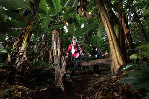 BIB: 
                            <button type="button" onclick="openModal(22422264)" class="btn btn-primary btn-sm float-right btn-popup" data-toggle="modal" data-target=".modal-high-quality">
                        <i class="fas fa-shopping-cart"></i> Add to Cart
                    </button>
                                            <button type="button" onclick="isThisMe(22422264, true)" class="btn btn-success btn-sm float-right btn-popup btn-isme hidden" data-toggle="tooltip" data-placement="bottom" title="นี่คือรูปของคุณใช่ไหม คลิกที่นี่เพื่อเอาเข้าอัลบั้ม">
                        <i class="fas fa-plus"></i> Add to album
                    </button>
                    <button type="button" onclick="isThisMe(22422264, false)" class="btn btn-warning btn-sm float-right btn-popup btn-isnotme hidden">
                        <i class="fas fa-ban"></i> Remove from album
                    </button>