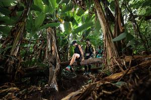 BIB: 
                            <button type="button" onclick="openModal(22388346)" class="btn btn-primary btn-sm float-right btn-popup" data-toggle="modal" data-target=".modal-high-quality">
                        <i class="fas fa-shopping-cart"></i> Add to Cart
                    </button>
                                            <button type="button" onclick="isThisMe(22388346, true)" class="btn btn-success btn-sm float-right btn-popup btn-isme hidden" data-toggle="tooltip" data-placement="bottom" title="นี่คือรูปของคุณใช่ไหม คลิกที่นี่เพื่อเอาเข้าอัลบั้ม">
                        <i class="fas fa-plus"></i> Add to album
                    </button>
                    <button type="button" onclick="isThisMe(22388346, false)" class="btn btn-warning btn-sm float-right btn-popup btn-isnotme hidden">
                        <i class="fas fa-ban"></i> Remove from album
                    </button>