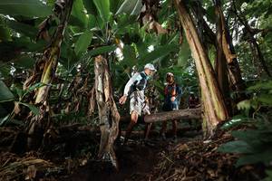 BIB: 
                            <button type="button" onclick="openModal(22419969)" class="btn btn-primary btn-sm float-right btn-popup" data-toggle="modal" data-target=".modal-high-quality">
                        <i class="fas fa-shopping-cart"></i> Add to Cart
                    </button>
                                            <button type="button" onclick="isThisMe(22419969, true)" class="btn btn-success btn-sm float-right btn-popup btn-isme hidden" data-toggle="tooltip" data-placement="bottom" title="นี่คือรูปของคุณใช่ไหม คลิกที่นี่เพื่อเอาเข้าอัลบั้ม">
                        <i class="fas fa-plus"></i> Add to album
                    </button>
                    <button type="button" onclick="isThisMe(22419969, false)" class="btn btn-warning btn-sm float-right btn-popup btn-isnotme hidden">
                        <i class="fas fa-ban"></i> Remove from album
                    </button>