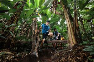 BIB: 
                            <button type="button" onclick="openModal(22416167)" class="btn btn-primary btn-sm float-right btn-popup" data-toggle="modal" data-target=".modal-high-quality">
                        <i class="fas fa-shopping-cart"></i> Add to Cart
                    </button>
                                            <button type="button" onclick="isThisMe(22416167, true)" class="btn btn-success btn-sm float-right btn-popup btn-isme hidden" data-toggle="tooltip" data-placement="bottom" title="นี่คือรูปของคุณใช่ไหม คลิกที่นี่เพื่อเอาเข้าอัลบั้ม">
                        <i class="fas fa-plus"></i> Add to album
                    </button>
                    <button type="button" onclick="isThisMe(22416167, false)" class="btn btn-warning btn-sm float-right btn-popup btn-isnotme hidden">
                        <i class="fas fa-ban"></i> Remove from album
                    </button>