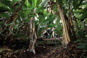 BIB: 
                            <button type="button" onclick="openModal(22417258)" class="btn btn-primary btn-sm float-right btn-popup" data-toggle="modal" data-target=".modal-high-quality">
                        <i class="fas fa-shopping-cart"></i> Add to Cart
                    </button>
                                            <button type="button" onclick="isThisMe(22417258, true)" class="btn btn-success btn-sm float-right btn-popup btn-isme hidden" data-toggle="tooltip" data-placement="bottom" title="นี่คือรูปของคุณใช่ไหม คลิกที่นี่เพื่อเอาเข้าอัลบั้ม">
                        <i class="fas fa-plus"></i> Add to album
                    </button>
                    <button type="button" onclick="isThisMe(22417258, false)" class="btn btn-warning btn-sm float-right btn-popup btn-isnotme hidden">
                        <i class="fas fa-ban"></i> Remove from album
                    </button>