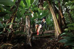 BIB: 
                            <button type="button" onclick="openModal(22418650)" class="btn btn-primary btn-sm float-right btn-popup" data-toggle="modal" data-target=".modal-high-quality">
                        <i class="fas fa-shopping-cart"></i> Add to Cart
                    </button>
                                            <button type="button" onclick="isThisMe(22418650, true)" class="btn btn-success btn-sm float-right btn-popup btn-isme hidden" data-toggle="tooltip" data-placement="bottom" title="นี่คือรูปของคุณใช่ไหม คลิกที่นี่เพื่อเอาเข้าอัลบั้ม">
                        <i class="fas fa-plus"></i> Add to album
                    </button>
                    <button type="button" onclick="isThisMe(22418650, false)" class="btn btn-warning btn-sm float-right btn-popup btn-isnotme hidden">
                        <i class="fas fa-ban"></i> Remove from album
                    </button>