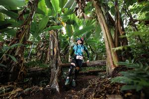 BIB: 
                            <button type="button" onclick="openModal(22397922)" class="btn btn-primary btn-sm float-right btn-popup" data-toggle="modal" data-target=".modal-high-quality">
                        <i class="fas fa-shopping-cart"></i> Add to Cart
                    </button>
                                            <button type="button" onclick="isThisMe(22397922, true)" class="btn btn-success btn-sm float-right btn-popup btn-isme hidden" data-toggle="tooltip" data-placement="bottom" title="นี่คือรูปของคุณใช่ไหม คลิกที่นี่เพื่อเอาเข้าอัลบั้ม">
                        <i class="fas fa-plus"></i> Add to album
                    </button>
                    <button type="button" onclick="isThisMe(22397922, false)" class="btn btn-warning btn-sm float-right btn-popup btn-isnotme hidden">
                        <i class="fas fa-ban"></i> Remove from album
                    </button>