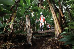 BIB: 
                            <button type="button" onclick="openModal(22419780)" class="btn btn-primary btn-sm float-right btn-popup" data-toggle="modal" data-target=".modal-high-quality">
                        <i class="fas fa-shopping-cart"></i> Add to Cart
                    </button>
                                            <button type="button" onclick="isThisMe(22419780, true)" class="btn btn-success btn-sm float-right btn-popup btn-isme hidden" data-toggle="tooltip" data-placement="bottom" title="นี่คือรูปของคุณใช่ไหม คลิกที่นี่เพื่อเอาเข้าอัลบั้ม">
                        <i class="fas fa-plus"></i> Add to album
                    </button>
                    <button type="button" onclick="isThisMe(22419780, false)" class="btn btn-warning btn-sm float-right btn-popup btn-isnotme hidden">
                        <i class="fas fa-ban"></i> Remove from album
                    </button>