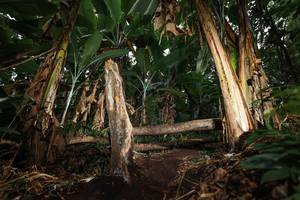 BIB: 
                            <button type="button" onclick="openModal(22422498)" class="btn btn-primary btn-sm float-right btn-popup" data-toggle="modal" data-target=".modal-high-quality">
                        <i class="fas fa-shopping-cart"></i> Add to Cart
                    </button>
                                            <button type="button" onclick="isThisMe(22422498, true)" class="btn btn-success btn-sm float-right btn-popup btn-isme hidden" data-toggle="tooltip" data-placement="bottom" title="นี่คือรูปของคุณใช่ไหม คลิกที่นี่เพื่อเอาเข้าอัลบั้ม">
                        <i class="fas fa-plus"></i> Add to album
                    </button>
                    <button type="button" onclick="isThisMe(22422498, false)" class="btn btn-warning btn-sm float-right btn-popup btn-isnotme hidden">
                        <i class="fas fa-ban"></i> Remove from album
                    </button>