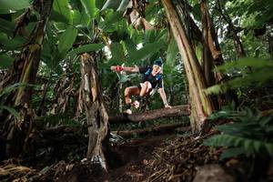 BIB: 
                            <button type="button" onclick="openModal(22414402)" class="btn btn-primary btn-sm float-right btn-popup" data-toggle="modal" data-target=".modal-high-quality">
                        <i class="fas fa-shopping-cart"></i> Add to Cart
                    </button>
                                            <button type="button" onclick="isThisMe(22414402, true)" class="btn btn-success btn-sm float-right btn-popup btn-isme hidden" data-toggle="tooltip" data-placement="bottom" title="นี่คือรูปของคุณใช่ไหม คลิกที่นี่เพื่อเอาเข้าอัลบั้ม">
                        <i class="fas fa-plus"></i> Add to album
                    </button>
                    <button type="button" onclick="isThisMe(22414402, false)" class="btn btn-warning btn-sm float-right btn-popup btn-isnotme hidden">
                        <i class="fas fa-ban"></i> Remove from album
                    </button>