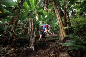 BIB: 
                            <button type="button" onclick="openModal(22398930)" class="btn btn-primary btn-sm float-right btn-popup" data-toggle="modal" data-target=".modal-high-quality">
                        <i class="fas fa-shopping-cart"></i> Add to Cart
                    </button>
                                            <button type="button" onclick="isThisMe(22398930, true)" class="btn btn-success btn-sm float-right btn-popup btn-isme hidden" data-toggle="tooltip" data-placement="bottom" title="นี่คือรูปของคุณใช่ไหม คลิกที่นี่เพื่อเอาเข้าอัลบั้ม">
                        <i class="fas fa-plus"></i> Add to album
                    </button>
                    <button type="button" onclick="isThisMe(22398930, false)" class="btn btn-warning btn-sm float-right btn-popup btn-isnotme hidden">
                        <i class="fas fa-ban"></i> Remove from album
                    </button>