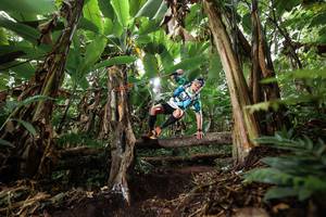 BIB: 
                            <button type="button" onclick="openModal(22398575)" class="btn btn-primary btn-sm float-right btn-popup" data-toggle="modal" data-target=".modal-high-quality">
                        <i class="fas fa-shopping-cart"></i> Add to Cart
                    </button>
                                            <button type="button" onclick="isThisMe(22398575, true)" class="btn btn-success btn-sm float-right btn-popup btn-isme hidden" data-toggle="tooltip" data-placement="bottom" title="นี่คือรูปของคุณใช่ไหม คลิกที่นี่เพื่อเอาเข้าอัลบั้ม">
                        <i class="fas fa-plus"></i> Add to album
                    </button>
                    <button type="button" onclick="isThisMe(22398575, false)" class="btn btn-warning btn-sm float-right btn-popup btn-isnotme hidden">
                        <i class="fas fa-ban"></i> Remove from album
                    </button>