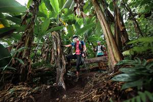 BIB: 
                            <button type="button" onclick="openModal(22415689)" class="btn btn-primary btn-sm float-right btn-popup" data-toggle="modal" data-target=".modal-high-quality">
                        <i class="fas fa-shopping-cart"></i> Add to Cart
                    </button>
                                            <button type="button" onclick="isThisMe(22415689, true)" class="btn btn-success btn-sm float-right btn-popup btn-isme hidden" data-toggle="tooltip" data-placement="bottom" title="นี่คือรูปของคุณใช่ไหม คลิกที่นี่เพื่อเอาเข้าอัลบั้ม">
                        <i class="fas fa-plus"></i> Add to album
                    </button>
                    <button type="button" onclick="isThisMe(22415689, false)" class="btn btn-warning btn-sm float-right btn-popup btn-isnotme hidden">
                        <i class="fas fa-ban"></i> Remove from album
                    </button>