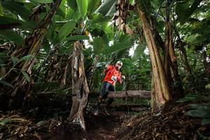 BIB: 
                            <button type="button" onclick="openModal(22418173)" class="btn btn-primary btn-sm float-right btn-popup" data-toggle="modal" data-target=".modal-high-quality">
                        <i class="fas fa-shopping-cart"></i> Add to Cart
                    </button>
                                            <button type="button" onclick="isThisMe(22418173, true)" class="btn btn-success btn-sm float-right btn-popup btn-isme hidden" data-toggle="tooltip" data-placement="bottom" title="นี่คือรูปของคุณใช่ไหม คลิกที่นี่เพื่อเอาเข้าอัลบั้ม">
                        <i class="fas fa-plus"></i> Add to album
                    </button>
                    <button type="button" onclick="isThisMe(22418173, false)" class="btn btn-warning btn-sm float-right btn-popup btn-isnotme hidden">
                        <i class="fas fa-ban"></i> Remove from album
                    </button>