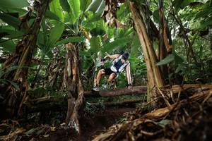 BIB: 
                            <button type="button" onclick="openModal(22392778)" class="btn btn-primary btn-sm float-right btn-popup" data-toggle="modal" data-target=".modal-high-quality">
                        <i class="fas fa-shopping-cart"></i> Add to Cart
                    </button>
                                            <button type="button" onclick="isThisMe(22392778, true)" class="btn btn-success btn-sm float-right btn-popup btn-isme hidden" data-toggle="tooltip" data-placement="bottom" title="นี่คือรูปของคุณใช่ไหม คลิกที่นี่เพื่อเอาเข้าอัลบั้ม">
                        <i class="fas fa-plus"></i> Add to album
                    </button>
                    <button type="button" onclick="isThisMe(22392778, false)" class="btn btn-warning btn-sm float-right btn-popup btn-isnotme hidden">
                        <i class="fas fa-ban"></i> Remove from album
                    </button>