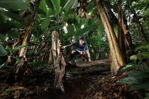 BIB: 
                            <button type="button" onclick="openModal(22419290)" class="btn btn-primary btn-sm float-right btn-popup" data-toggle="modal" data-target=".modal-high-quality">
                        <i class="fas fa-shopping-cart"></i> Add to Cart
                    </button>
                                            <button type="button" onclick="isThisMe(22419290, true)" class="btn btn-success btn-sm float-right btn-popup btn-isme hidden" data-toggle="tooltip" data-placement="bottom" title="นี่คือรูปของคุณใช่ไหม คลิกที่นี่เพื่อเอาเข้าอัลบั้ม">
                        <i class="fas fa-plus"></i> Add to album
                    </button>
                    <button type="button" onclick="isThisMe(22419290, false)" class="btn btn-warning btn-sm float-right btn-popup btn-isnotme hidden">
                        <i class="fas fa-ban"></i> Remove from album
                    </button>