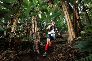 BIB: 53400
                            <button type="button" onclick="openModal(22418521)" class="btn btn-primary btn-sm float-right btn-popup" data-toggle="modal" data-target=".modal-high-quality">
                        <i class="fas fa-shopping-cart"></i> Add to Cart
                    </button>
                                            <button type="button" onclick="isThisMe(22418521, true)" class="btn btn-success btn-sm float-right btn-popup btn-isme hidden" data-toggle="tooltip" data-placement="bottom" title="นี่คือรูปของคุณใช่ไหม คลิกที่นี่เพื่อเอาเข้าอัลบั้ม">
                        <i class="fas fa-plus"></i> Add to album
                    </button>
                    <button type="button" onclick="isThisMe(22418521, false)" class="btn btn-warning btn-sm float-right btn-popup btn-isnotme hidden">
                        <i class="fas fa-ban"></i> Remove from album
                    </button>