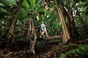 BIB: 
                            <button type="button" onclick="openModal(22393158)" class="btn btn-primary btn-sm float-right btn-popup" data-toggle="modal" data-target=".modal-high-quality">
                        <i class="fas fa-shopping-cart"></i> Add to Cart
                    </button>
                                            <button type="button" onclick="isThisMe(22393158, true)" class="btn btn-success btn-sm float-right btn-popup btn-isme hidden" data-toggle="tooltip" data-placement="bottom" title="นี่คือรูปของคุณใช่ไหม คลิกที่นี่เพื่อเอาเข้าอัลบั้ม">
                        <i class="fas fa-plus"></i> Add to album
                    </button>
                    <button type="button" onclick="isThisMe(22393158, false)" class="btn btn-warning btn-sm float-right btn-popup btn-isnotme hidden">
                        <i class="fas fa-ban"></i> Remove from album
                    </button>