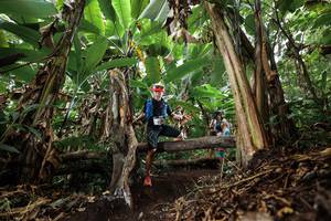 BIB: 
                            <button type="button" onclick="openModal(22392963)" class="btn btn-primary btn-sm float-right btn-popup" data-toggle="modal" data-target=".modal-high-quality">
                        <i class="fas fa-shopping-cart"></i> Add to Cart
                    </button>
                                            <button type="button" onclick="isThisMe(22392963, true)" class="btn btn-success btn-sm float-right btn-popup btn-isme hidden" data-toggle="tooltip" data-placement="bottom" title="นี่คือรูปของคุณใช่ไหม คลิกที่นี่เพื่อเอาเข้าอัลบั้ม">
                        <i class="fas fa-plus"></i> Add to album
                    </button>
                    <button type="button" onclick="isThisMe(22392963, false)" class="btn btn-warning btn-sm float-right btn-popup btn-isnotme hidden">
                        <i class="fas fa-ban"></i> Remove from album
                    </button>