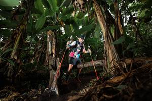 BIB: 
                            <button type="button" onclick="openModal(22392544)" class="btn btn-primary btn-sm float-right btn-popup" data-toggle="modal" data-target=".modal-high-quality">
                        <i class="fas fa-shopping-cart"></i> Add to Cart
                    </button>
                                            <button type="button" onclick="isThisMe(22392544, true)" class="btn btn-success btn-sm float-right btn-popup btn-isme hidden" data-toggle="tooltip" data-placement="bottom" title="นี่คือรูปของคุณใช่ไหม คลิกที่นี่เพื่อเอาเข้าอัลบั้ม">
                        <i class="fas fa-plus"></i> Add to album
                    </button>
                    <button type="button" onclick="isThisMe(22392544, false)" class="btn btn-warning btn-sm float-right btn-popup btn-isnotme hidden">
                        <i class="fas fa-ban"></i> Remove from album
                    </button>