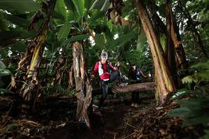 BIB: 
                            <button type="button" onclick="openModal(22422263)" class="btn btn-primary btn-sm float-right btn-popup" data-toggle="modal" data-target=".modal-high-quality">
                        <i class="fas fa-shopping-cart"></i> Add to Cart
                    </button>
                                            <button type="button" onclick="isThisMe(22422263, true)" class="btn btn-success btn-sm float-right btn-popup btn-isme hidden" data-toggle="tooltip" data-placement="bottom" title="นี่คือรูปของคุณใช่ไหม คลิกที่นี่เพื่อเอาเข้าอัลบั้ม">
                        <i class="fas fa-plus"></i> Add to album
                    </button>
                    <button type="button" onclick="isThisMe(22422263, false)" class="btn btn-warning btn-sm float-right btn-popup btn-isnotme hidden">
                        <i class="fas fa-ban"></i> Remove from album
                    </button>