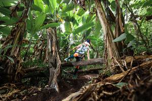 BIB: 
                            <button type="button" onclick="openModal(22389881)" class="btn btn-primary btn-sm float-right btn-popup" data-toggle="modal" data-target=".modal-high-quality">
                        <i class="fas fa-shopping-cart"></i> Add to Cart
                    </button>
                                            <button type="button" onclick="isThisMe(22389881, true)" class="btn btn-success btn-sm float-right btn-popup btn-isme hidden" data-toggle="tooltip" data-placement="bottom" title="นี่คือรูปของคุณใช่ไหม คลิกที่นี่เพื่อเอาเข้าอัลบั้ม">
                        <i class="fas fa-plus"></i> Add to album
                    </button>
                    <button type="button" onclick="isThisMe(22389881, false)" class="btn btn-warning btn-sm float-right btn-popup btn-isnotme hidden">
                        <i class="fas fa-ban"></i> Remove from album
                    </button>