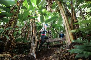 BIB: 
                            <button type="button" onclick="openModal(22402249)" class="btn btn-primary btn-sm float-right btn-popup" data-toggle="modal" data-target=".modal-high-quality">
                        <i class="fas fa-shopping-cart"></i> Add to Cart
                    </button>
                                            <button type="button" onclick="isThisMe(22402249, true)" class="btn btn-success btn-sm float-right btn-popup btn-isme hidden" data-toggle="tooltip" data-placement="bottom" title="นี่คือรูปของคุณใช่ไหม คลิกที่นี่เพื่อเอาเข้าอัลบั้ม">
                        <i class="fas fa-plus"></i> Add to album
                    </button>
                    <button type="button" onclick="isThisMe(22402249, false)" class="btn btn-warning btn-sm float-right btn-popup btn-isnotme hidden">
                        <i class="fas fa-ban"></i> Remove from album
                    </button>