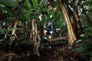 BIB: 
                            <button type="button" onclick="openModal(22420009)" class="btn btn-primary btn-sm float-right btn-popup" data-toggle="modal" data-target=".modal-high-quality">
                        <i class="fas fa-shopping-cart"></i> Add to Cart
                    </button>
                                            <button type="button" onclick="isThisMe(22420009, true)" class="btn btn-success btn-sm float-right btn-popup btn-isme hidden" data-toggle="tooltip" data-placement="bottom" title="นี่คือรูปของคุณใช่ไหม คลิกที่นี่เพื่อเอาเข้าอัลบั้ม">
                        <i class="fas fa-plus"></i> Add to album
                    </button>
                    <button type="button" onclick="isThisMe(22420009, false)" class="btn btn-warning btn-sm float-right btn-popup btn-isnotme hidden">
                        <i class="fas fa-ban"></i> Remove from album
                    </button>