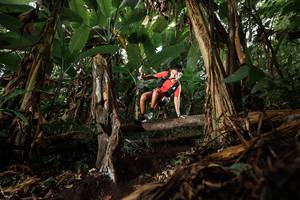 BIB: 
                            <button type="button" onclick="openModal(22392478)" class="btn btn-primary btn-sm float-right btn-popup" data-toggle="modal" data-target=".modal-high-quality">
                        <i class="fas fa-shopping-cart"></i> Add to Cart
                    </button>
                                            <button type="button" onclick="isThisMe(22392478, true)" class="btn btn-success btn-sm float-right btn-popup btn-isme hidden" data-toggle="tooltip" data-placement="bottom" title="นี่คือรูปของคุณใช่ไหม คลิกที่นี่เพื่อเอาเข้าอัลบั้ม">
                        <i class="fas fa-plus"></i> Add to album
                    </button>
                    <button type="button" onclick="isThisMe(22392478, false)" class="btn btn-warning btn-sm float-right btn-popup btn-isnotme hidden">
                        <i class="fas fa-ban"></i> Remove from album
                    </button>