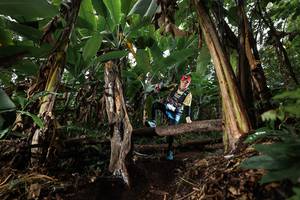 BIB: 
                            <button type="button" onclick="openModal(22421148)" class="btn btn-primary btn-sm float-right btn-popup" data-toggle="modal" data-target=".modal-high-quality">
                        <i class="fas fa-shopping-cart"></i> Add to Cart
                    </button>
                                            <button type="button" onclick="isThisMe(22421148, true)" class="btn btn-success btn-sm float-right btn-popup btn-isme hidden" data-toggle="tooltip" data-placement="bottom" title="นี่คือรูปของคุณใช่ไหม คลิกที่นี่เพื่อเอาเข้าอัลบั้ม">
                        <i class="fas fa-plus"></i> Add to album
                    </button>
                    <button type="button" onclick="isThisMe(22421148, false)" class="btn btn-warning btn-sm float-right btn-popup btn-isnotme hidden">
                        <i class="fas fa-ban"></i> Remove from album
                    </button>