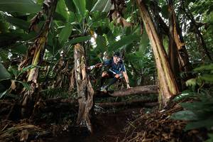 BIB: 
                            <button type="button" onclick="openModal(22419312)" class="btn btn-primary btn-sm float-right btn-popup" data-toggle="modal" data-target=".modal-high-quality">
                        <i class="fas fa-shopping-cart"></i> Add to Cart
                    </button>
                                            <button type="button" onclick="isThisMe(22419312, true)" class="btn btn-success btn-sm float-right btn-popup btn-isme hidden" data-toggle="tooltip" data-placement="bottom" title="นี่คือรูปของคุณใช่ไหม คลิกที่นี่เพื่อเอาเข้าอัลบั้ม">
                        <i class="fas fa-plus"></i> Add to album
                    </button>
                    <button type="button" onclick="isThisMe(22419312, false)" class="btn btn-warning btn-sm float-right btn-popup btn-isnotme hidden">
                        <i class="fas fa-ban"></i> Remove from album
                    </button>