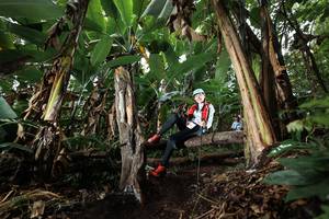 BIB: 
                            <button type="button" onclick="openModal(22421317)" class="btn btn-primary btn-sm float-right btn-popup" data-toggle="modal" data-target=".modal-high-quality">
                        <i class="fas fa-shopping-cart"></i> Add to Cart
                    </button>
                                            <button type="button" onclick="isThisMe(22421317, true)" class="btn btn-success btn-sm float-right btn-popup btn-isme hidden" data-toggle="tooltip" data-placement="bottom" title="นี่คือรูปของคุณใช่ไหม คลิกที่นี่เพื่อเอาเข้าอัลบั้ม">
                        <i class="fas fa-plus"></i> Add to album
                    </button>
                    <button type="button" onclick="isThisMe(22421317, false)" class="btn btn-warning btn-sm float-right btn-popup btn-isnotme hidden">
                        <i class="fas fa-ban"></i> Remove from album
                    </button>