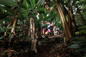 BIB: 
                            <button type="button" onclick="openModal(22419340)" class="btn btn-primary btn-sm float-right btn-popup" data-toggle="modal" data-target=".modal-high-quality">
                        <i class="fas fa-shopping-cart"></i> Add to Cart
                    </button>
                                            <button type="button" onclick="isThisMe(22419340, true)" class="btn btn-success btn-sm float-right btn-popup btn-isme hidden" data-toggle="tooltip" data-placement="bottom" title="นี่คือรูปของคุณใช่ไหม คลิกที่นี่เพื่อเอาเข้าอัลบั้ม">
                        <i class="fas fa-plus"></i> Add to album
                    </button>
                    <button type="button" onclick="isThisMe(22419340, false)" class="btn btn-warning btn-sm float-right btn-popup btn-isnotme hidden">
                        <i class="fas fa-ban"></i> Remove from album
                    </button>