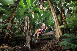 BIB: 
                            <button type="button" onclick="openModal(22413737)" class="btn btn-primary btn-sm float-right btn-popup" data-toggle="modal" data-target=".modal-high-quality">
                        <i class="fas fa-shopping-cart"></i> Add to Cart
                    </button>
                                            <button type="button" onclick="isThisMe(22413737, true)" class="btn btn-success btn-sm float-right btn-popup btn-isme hidden" data-toggle="tooltip" data-placement="bottom" title="นี่คือรูปของคุณใช่ไหม คลิกที่นี่เพื่อเอาเข้าอัลบั้ม">
                        <i class="fas fa-plus"></i> Add to album
                    </button>
                    <button type="button" onclick="isThisMe(22413737, false)" class="btn btn-warning btn-sm float-right btn-popup btn-isnotme hidden">
                        <i class="fas fa-ban"></i> Remove from album
                    </button>