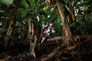 BIB: 
                            <button type="button" onclick="openModal(22392539)" class="btn btn-primary btn-sm float-right btn-popup" data-toggle="modal" data-target=".modal-high-quality">
                        <i class="fas fa-shopping-cart"></i> Add to Cart
                    </button>
                                            <button type="button" onclick="isThisMe(22392539, true)" class="btn btn-success btn-sm float-right btn-popup btn-isme hidden" data-toggle="tooltip" data-placement="bottom" title="นี่คือรูปของคุณใช่ไหม คลิกที่นี่เพื่อเอาเข้าอัลบั้ม">
                        <i class="fas fa-plus"></i> Add to album
                    </button>
                    <button type="button" onclick="isThisMe(22392539, false)" class="btn btn-warning btn-sm float-right btn-popup btn-isnotme hidden">
                        <i class="fas fa-ban"></i> Remove from album
                    </button>