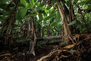 BIB: 
                            <button type="button" onclick="openModal(22387287)" class="btn btn-primary btn-sm float-right btn-popup" data-toggle="modal" data-target=".modal-high-quality">
                        <i class="fas fa-shopping-cart"></i> Add to Cart
                    </button>
                                            <button type="button" onclick="isThisMe(22387287, true)" class="btn btn-success btn-sm float-right btn-popup btn-isme hidden" data-toggle="tooltip" data-placement="bottom" title="นี่คือรูปของคุณใช่ไหม คลิกที่นี่เพื่อเอาเข้าอัลบั้ม">
                        <i class="fas fa-plus"></i> Add to album
                    </button>
                    <button type="button" onclick="isThisMe(22387287, false)" class="btn btn-warning btn-sm float-right btn-popup btn-isnotme hidden">
                        <i class="fas fa-ban"></i> Remove from album
                    </button>