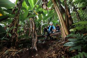 BIB: 
                            <button type="button" onclick="openModal(22415787)" class="btn btn-primary btn-sm float-right btn-popup" data-toggle="modal" data-target=".modal-high-quality">
                        <i class="fas fa-shopping-cart"></i> Add to Cart
                    </button>
                                            <button type="button" onclick="isThisMe(22415787, true)" class="btn btn-success btn-sm float-right btn-popup btn-isme hidden" data-toggle="tooltip" data-placement="bottom" title="นี่คือรูปของคุณใช่ไหม คลิกที่นี่เพื่อเอาเข้าอัลบั้ม">
                        <i class="fas fa-plus"></i> Add to album
                    </button>
                    <button type="button" onclick="isThisMe(22415787, false)" class="btn btn-warning btn-sm float-right btn-popup btn-isnotme hidden">
                        <i class="fas fa-ban"></i> Remove from album
                    </button>