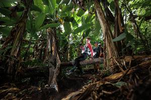 BIB: 
                            <button type="button" onclick="openModal(22387297)" class="btn btn-primary btn-sm float-right btn-popup" data-toggle="modal" data-target=".modal-high-quality">
                        <i class="fas fa-shopping-cart"></i> Add to Cart
                    </button>
                                            <button type="button" onclick="isThisMe(22387297, true)" class="btn btn-success btn-sm float-right btn-popup btn-isme hidden" data-toggle="tooltip" data-placement="bottom" title="นี่คือรูปของคุณใช่ไหม คลิกที่นี่เพื่อเอาเข้าอัลบั้ม">
                        <i class="fas fa-plus"></i> Add to album
                    </button>
                    <button type="button" onclick="isThisMe(22387297, false)" class="btn btn-warning btn-sm float-right btn-popup btn-isnotme hidden">
                        <i class="fas fa-ban"></i> Remove from album
                    </button>