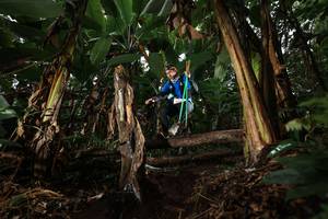 BIB: 
                            <button type="button" onclick="openModal(22422428)" class="btn btn-primary btn-sm float-right btn-popup" data-toggle="modal" data-target=".modal-high-quality">
                        <i class="fas fa-shopping-cart"></i> Add to Cart
                    </button>
                                            <button type="button" onclick="isThisMe(22422428, true)" class="btn btn-success btn-sm float-right btn-popup btn-isme hidden" data-toggle="tooltip" data-placement="bottom" title="นี่คือรูปของคุณใช่ไหม คลิกที่นี่เพื่อเอาเข้าอัลบั้ม">
                        <i class="fas fa-plus"></i> Add to album
                    </button>
                    <button type="button" onclick="isThisMe(22422428, false)" class="btn btn-warning btn-sm float-right btn-popup btn-isnotme hidden">
                        <i class="fas fa-ban"></i> Remove from album
                    </button>